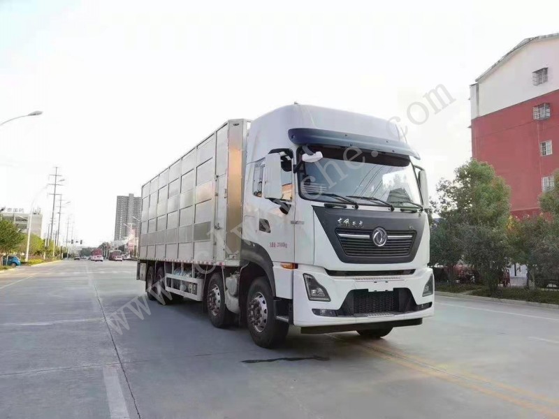 東風(fēng)天龍前四后八畜禽運(yùn)輸車（運(yùn)豬車） 