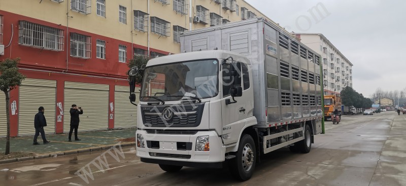 東風(fēng)天錦6.8米畜禽運(yùn)輸車(chē)（運(yùn)豬車(chē)）
